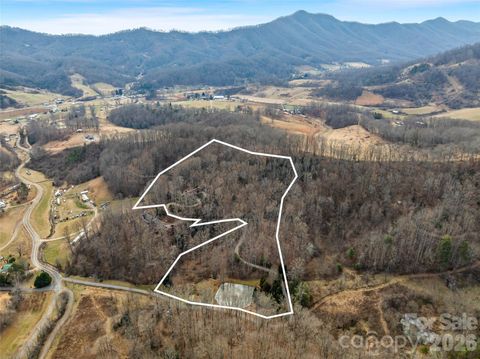 198 Brooks Branch Road Leicester NC 28748