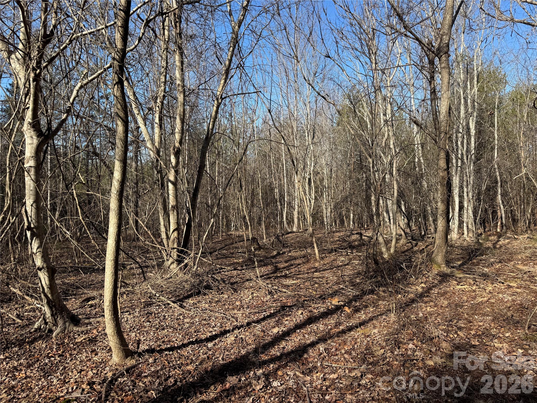 0 Burt Blackwell Road