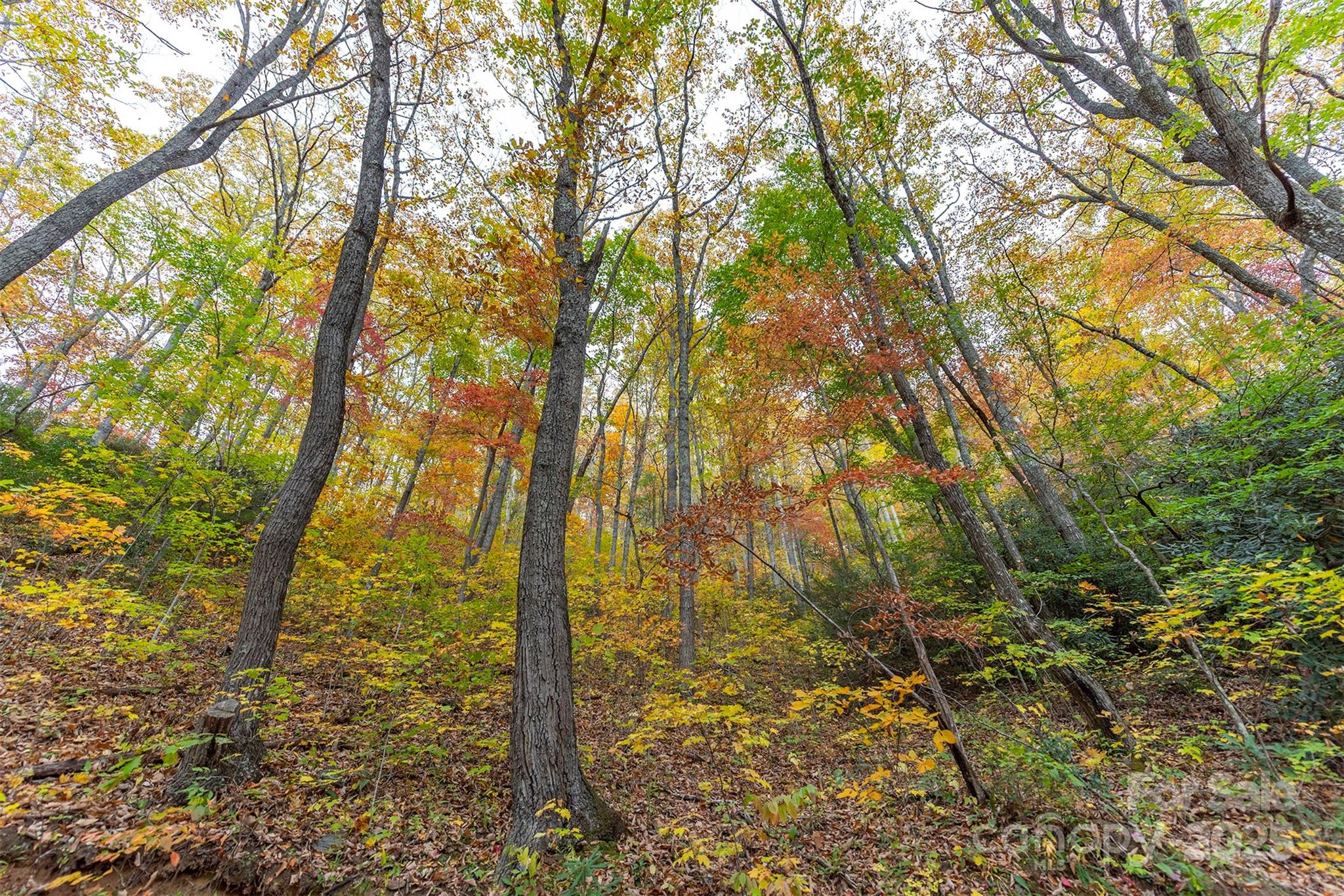 TBD Summer Haven Road 1-6