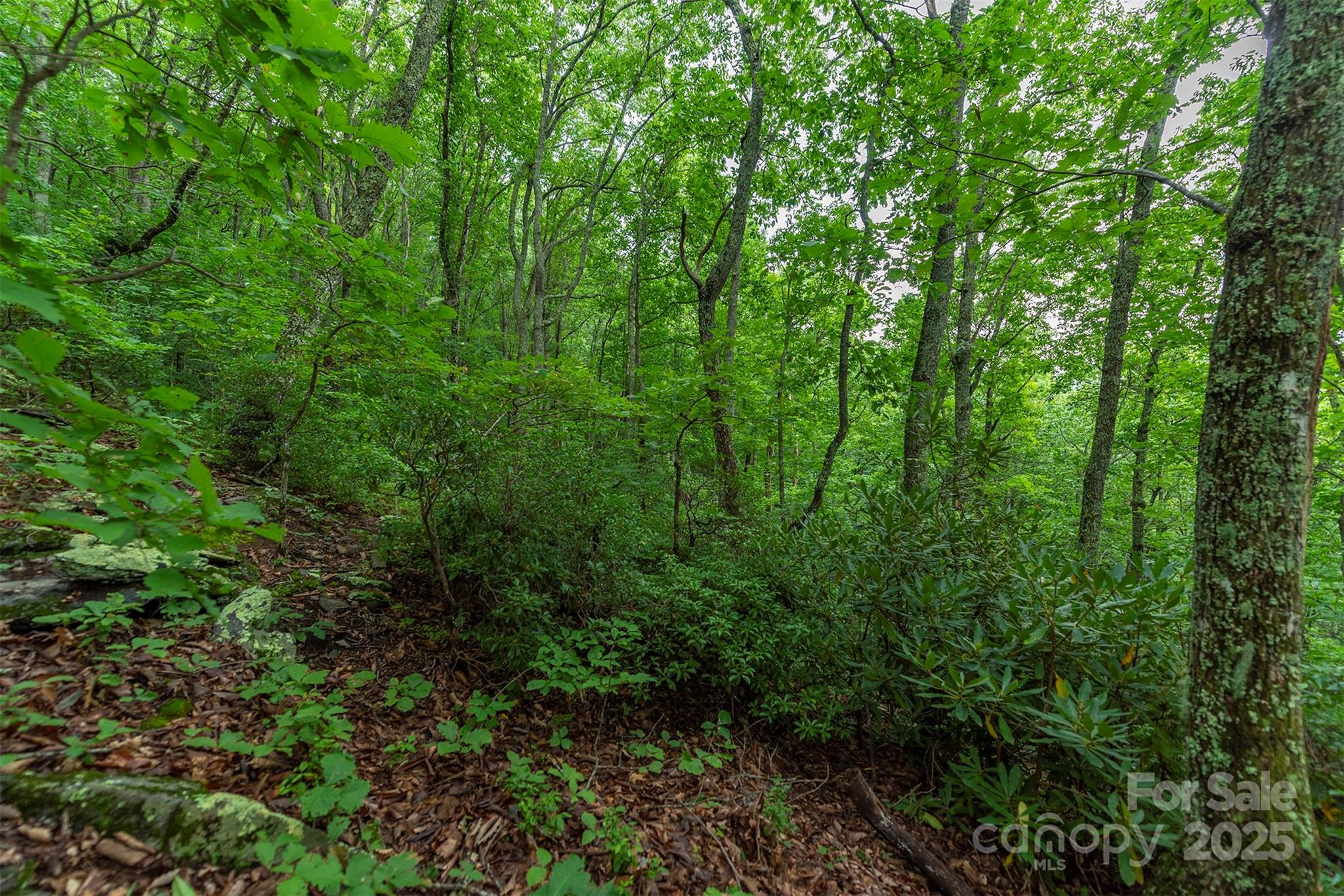 TBD Summer Haven Road 1-6