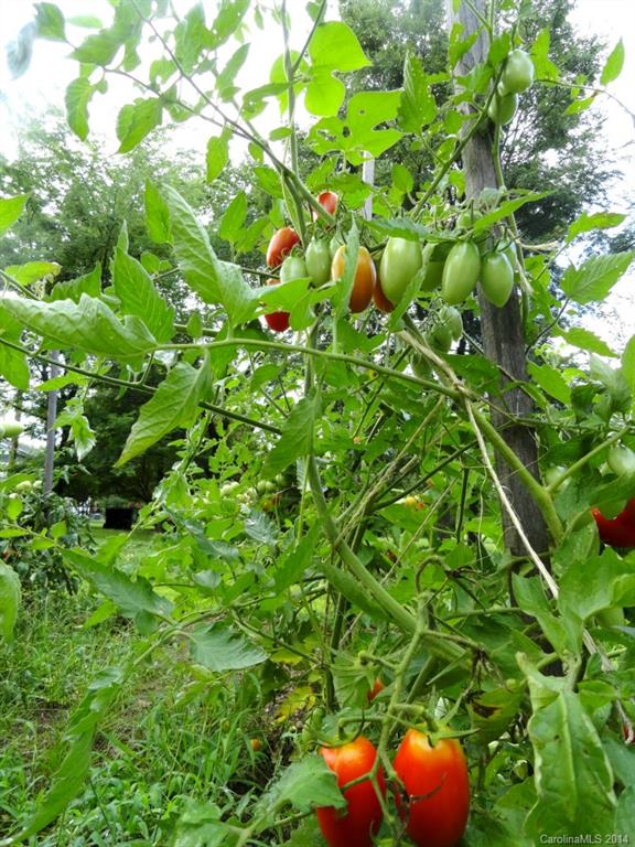 Shenandoah Estates - Residential