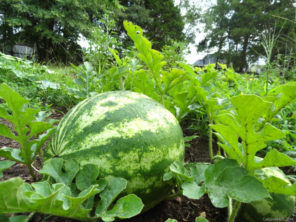 Shenandoah Estates - Residential