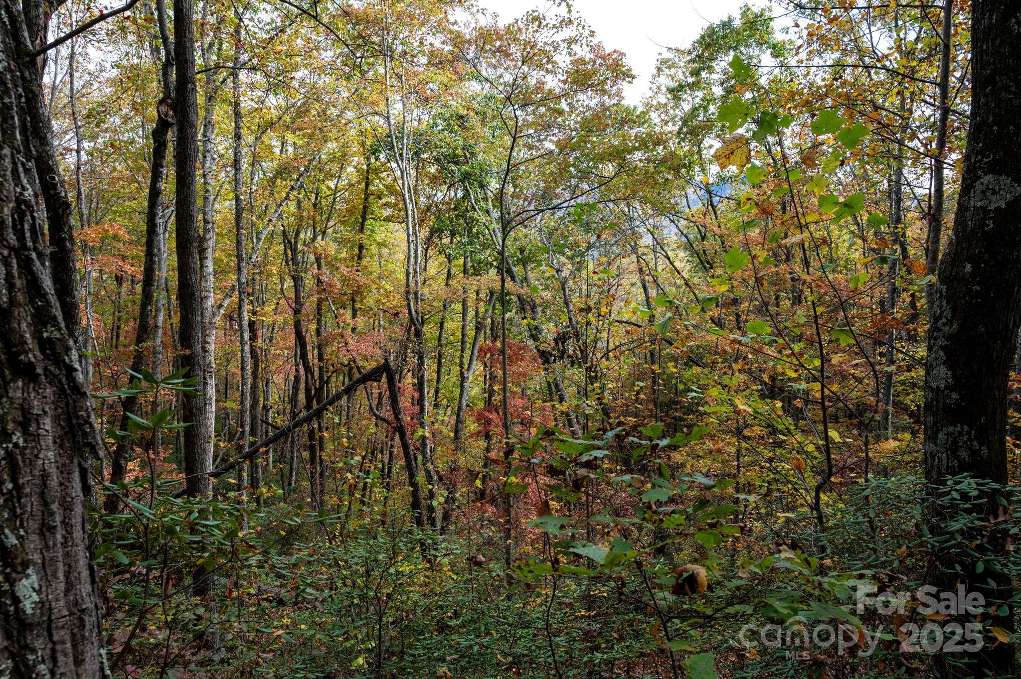 4B LOWER FLAT CREEK Road