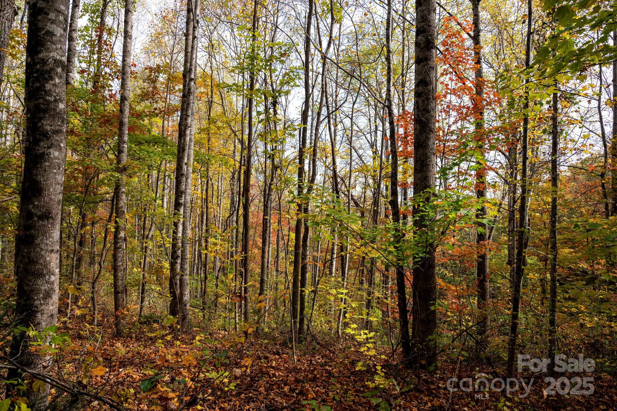 4B LOWER FLAT CREEK Road