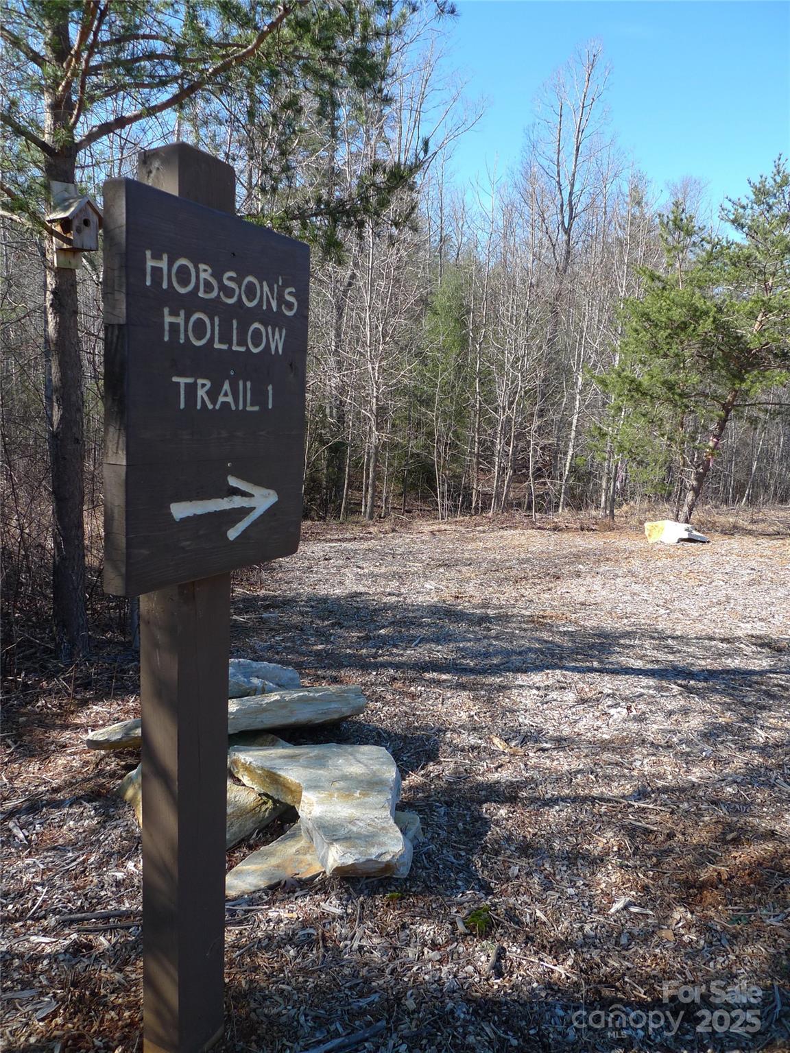 The Arbor at Lake James - Land
