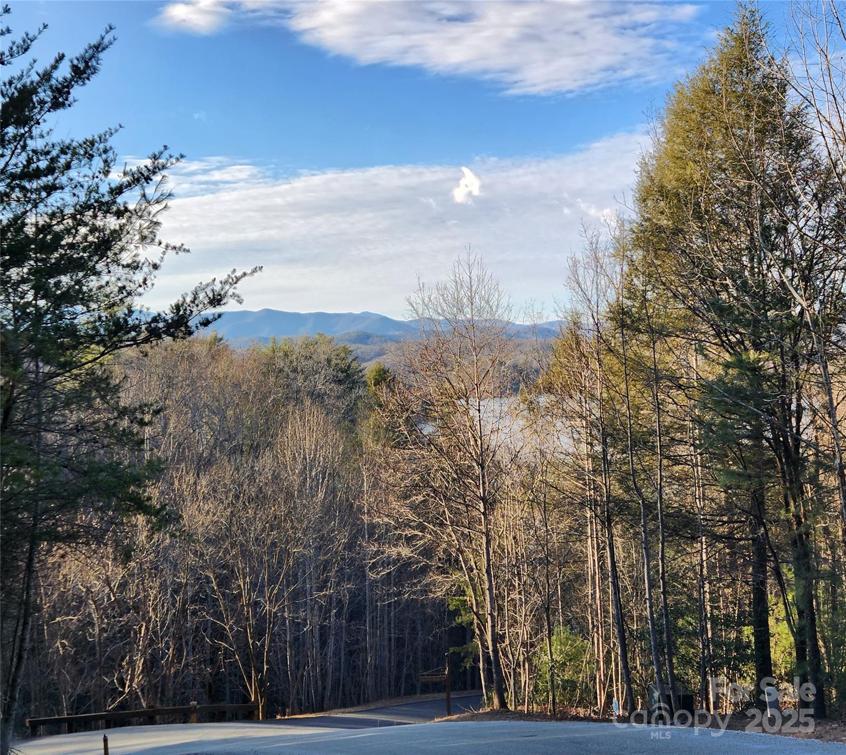 The Arbor at Lake James - Land