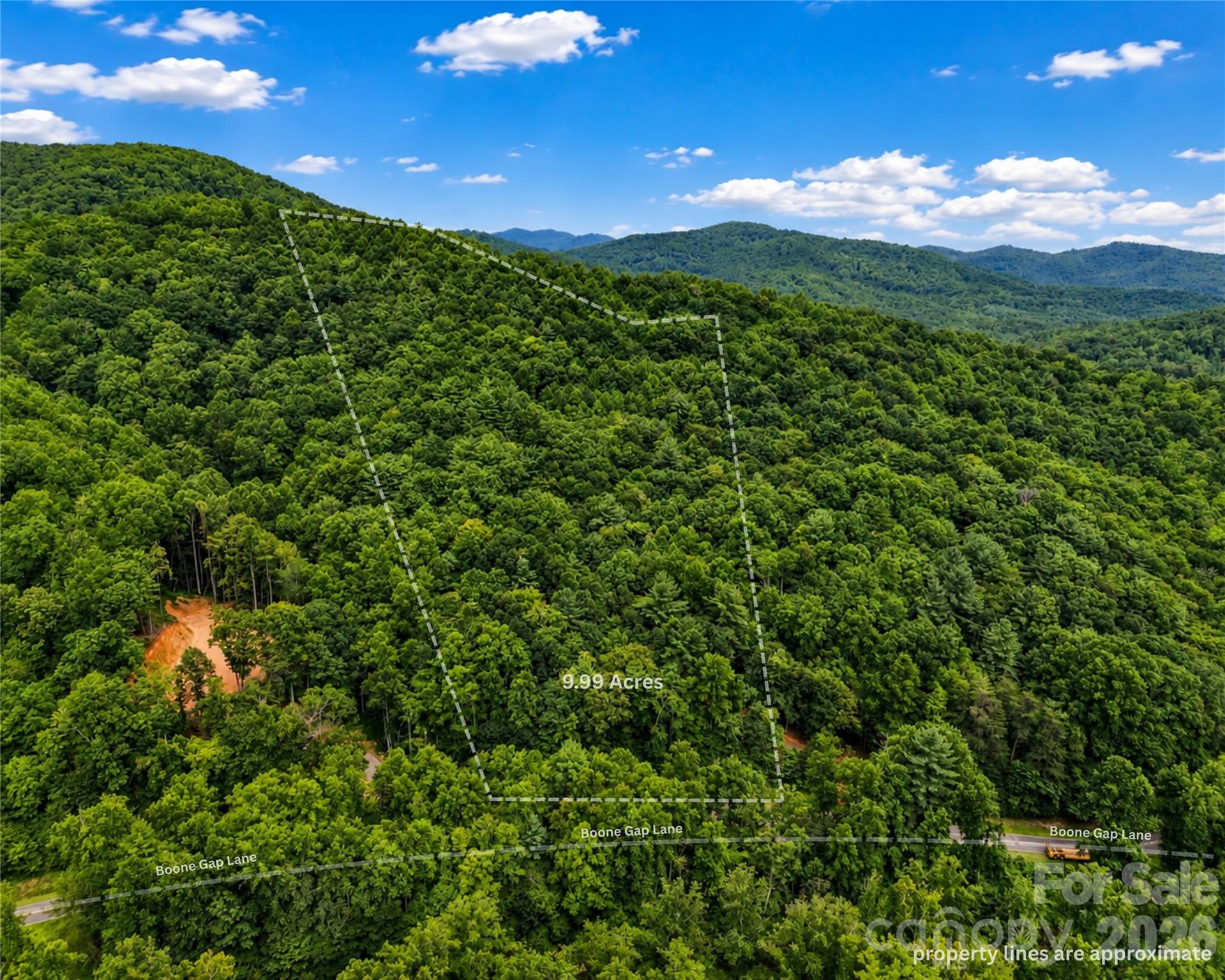00-00 (9.99 Acres) Boone Gap Lane Tract-2/BLOCK 1218