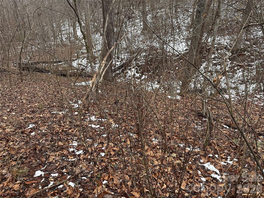 A nice wooded private lot on a dead-end road in the Magna Vista subdivision.   Just under a half-acre available for residential use.  Lot slopes down, then back up.  May require septic pump for it to perc.  Zoned R-SF for single family residence only to be built.  Well will be needed also.  Restrictions say home needs to be set back at least 50 feet from the center of the road and be a minimum of 1,000 square feet for single floor and at least 700 square feet on ground floor of 2 story home.  The rear left corner of this lot is in the 500-year flood plain according to fema.  Adjoining lot to the right is also available for sale.  It is just under 1/2 acre also.  Come and check this lot out to see if it fits your needs.