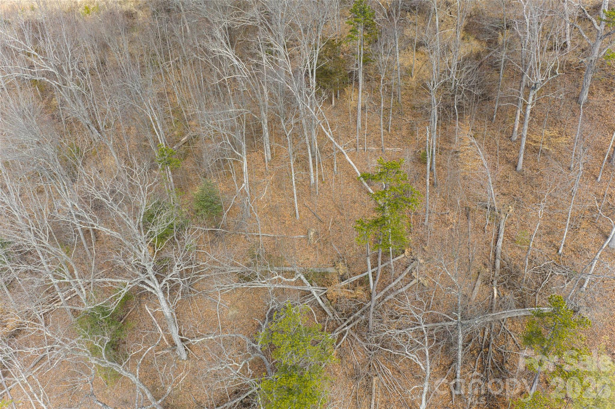 Hamburg Mountain - Land