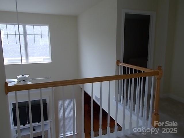 7411 White Elm Lane