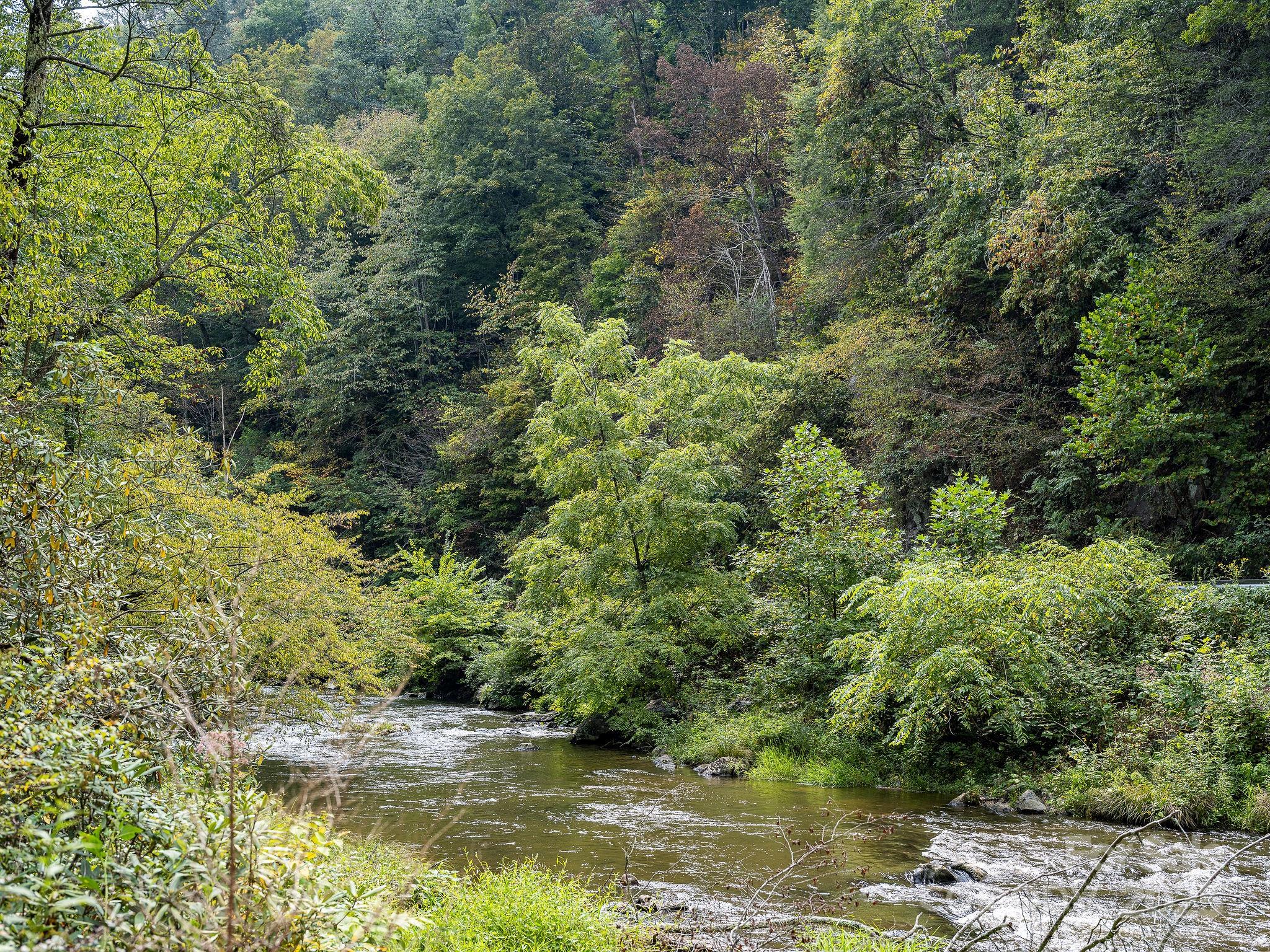 Laurel River Crossing - Residential