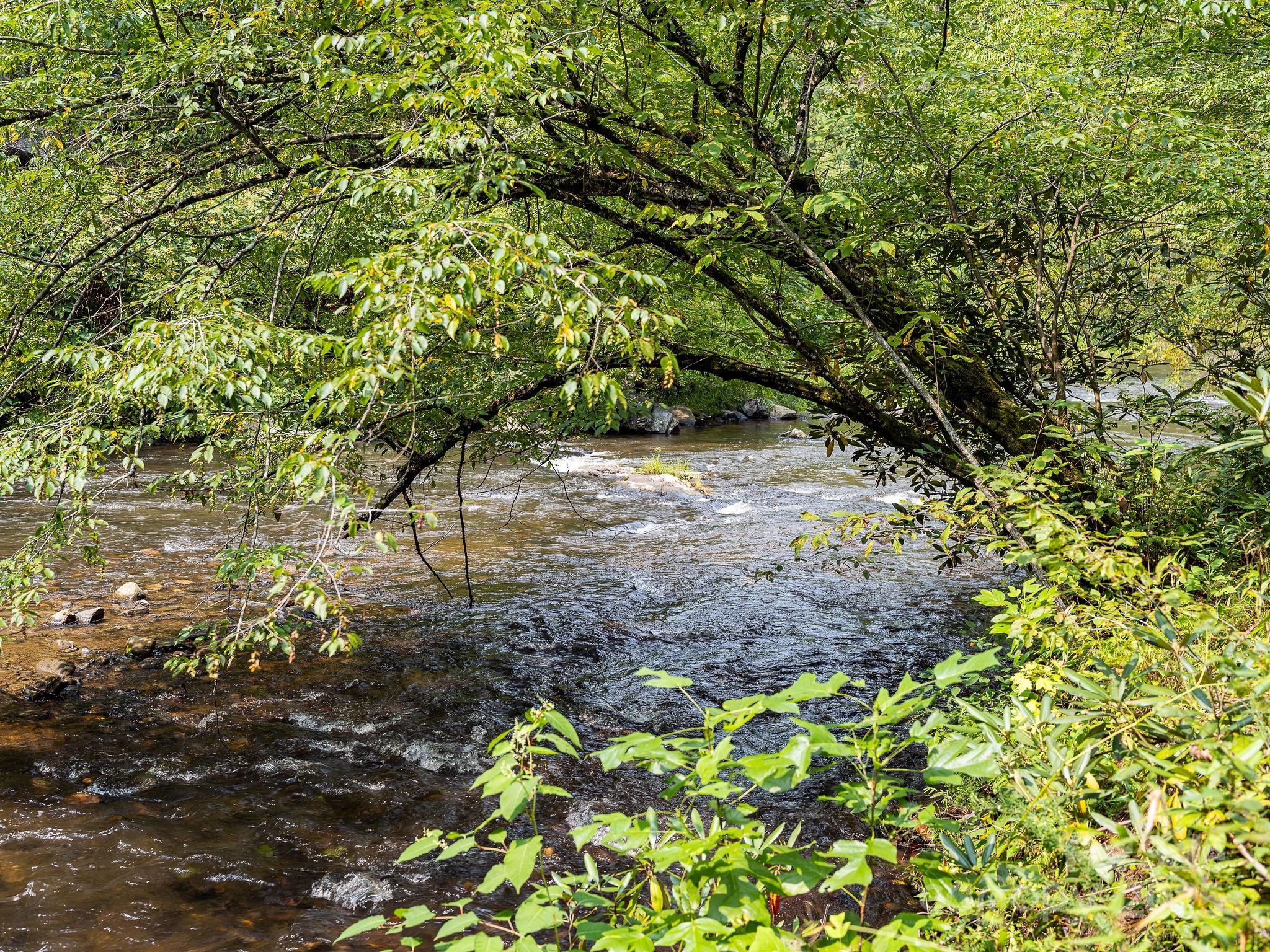 Laurel River Crossing - Residential