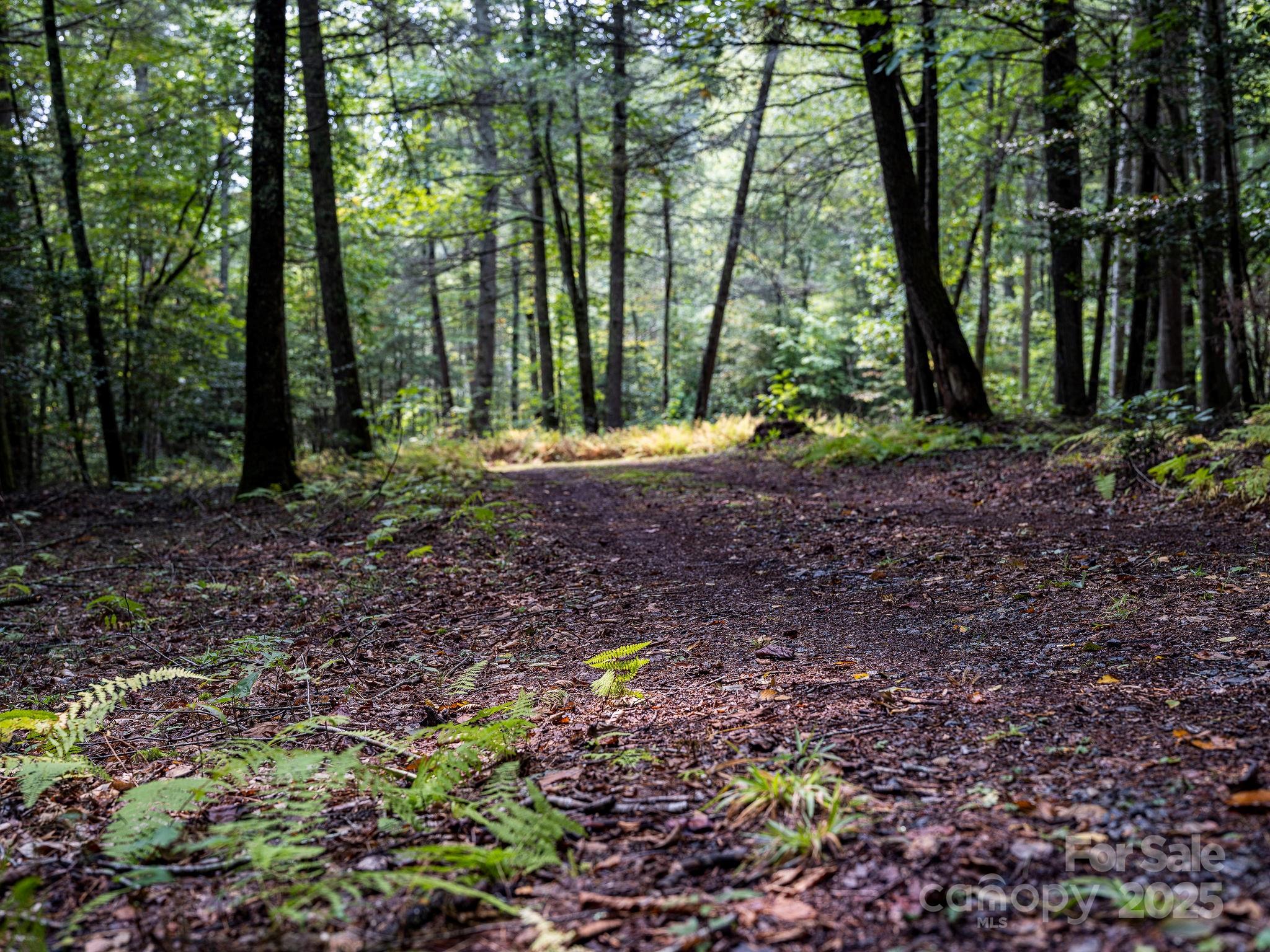 Laurel River Crossing - Residential