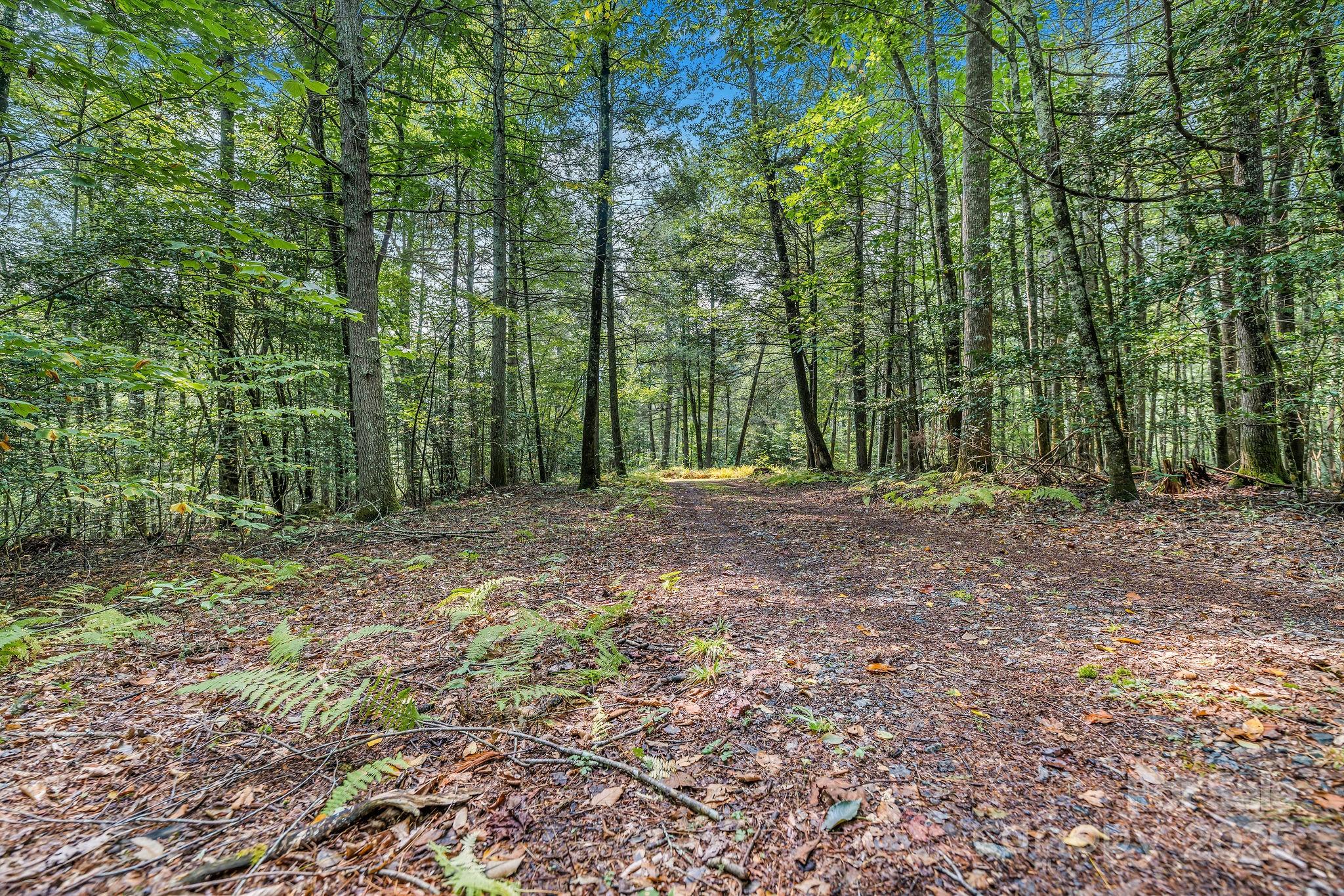 Laurel River Crossing - Residential