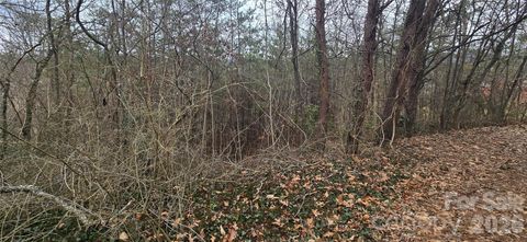 Lot 2 Kuykendall Lane Canton NC 28716