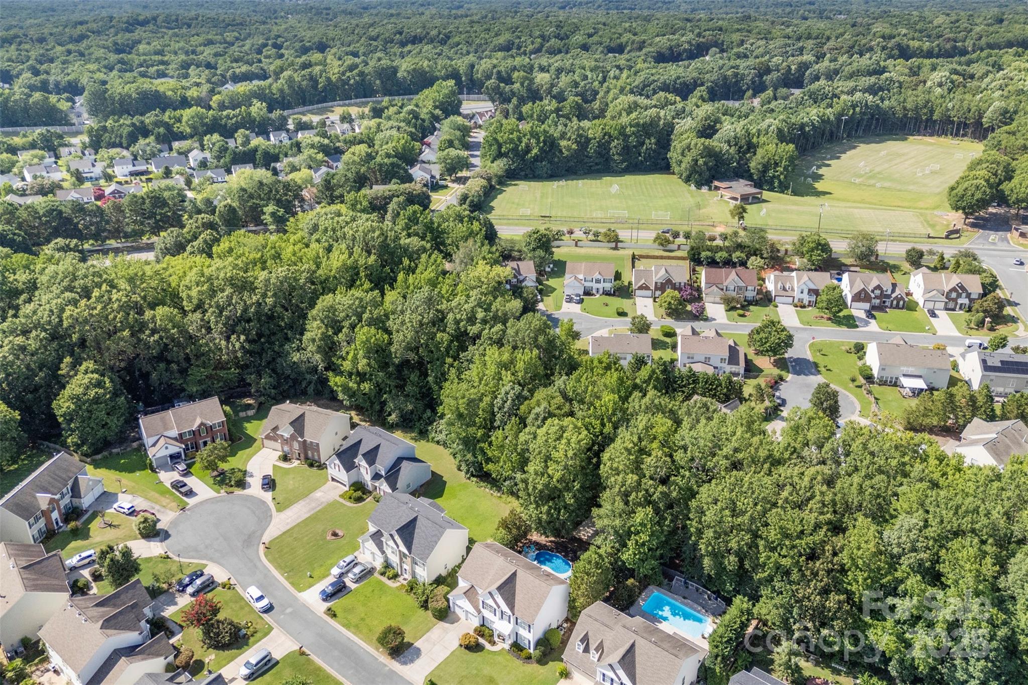 3125 Arborhill Road