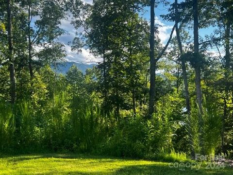 23 Mountain Parkway Mill Spring NC 28756