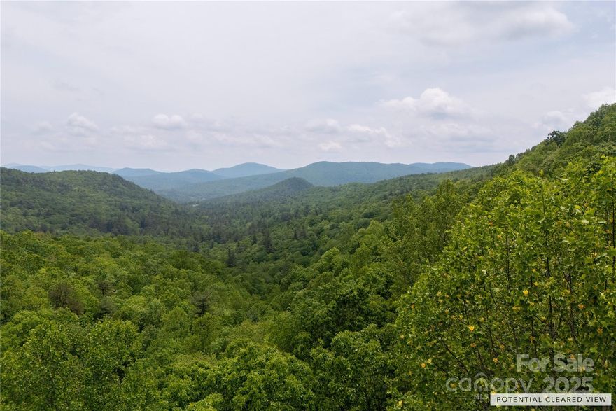 Amazing potential view with this wooded, private 3.76 acre lot in the Pinnacle Mountain area. Property slopes down away from the road and once your building site is cleared, the view should open up for you! Lot is moderate to steeply sloped with at least one potential building site available. NO Drive-by's please! You will need the help of an experienced agent to effectively view this lot. The gravel road ends just before the lot and you'll need permission to park and view it. Call to get more information today!