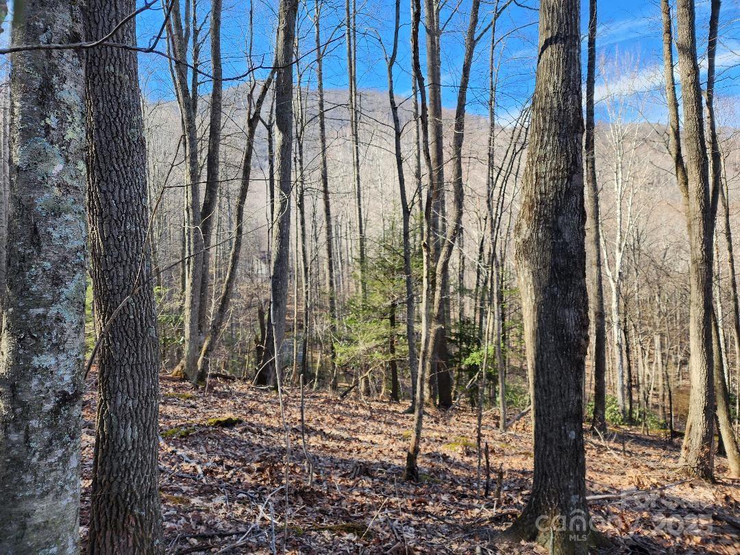 Celo Mountain Lands - Land