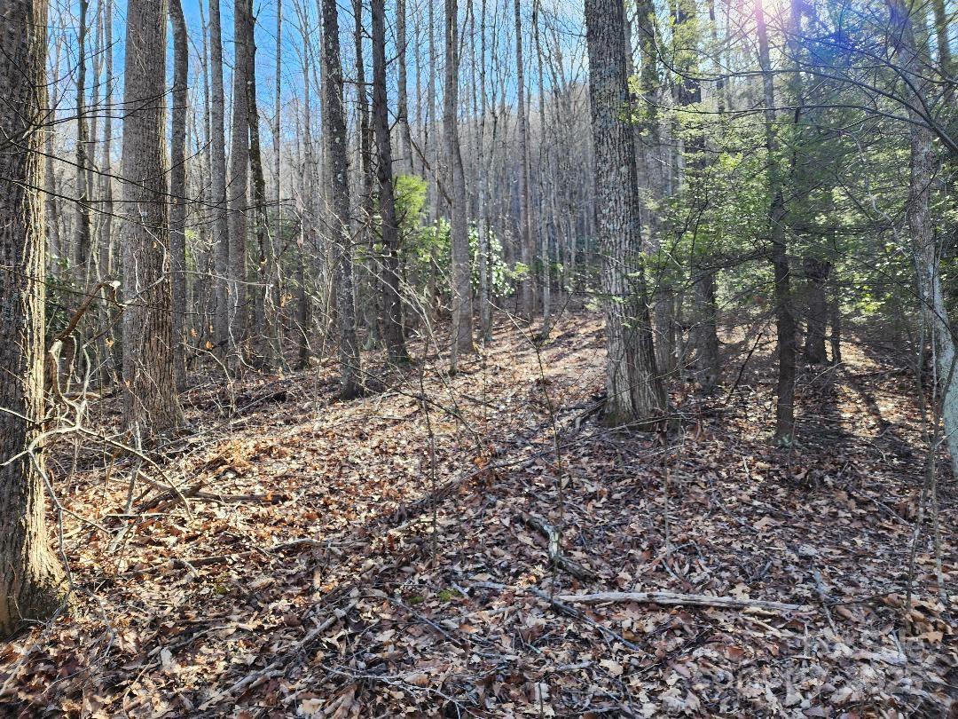 Celo Mountain Lands - Land