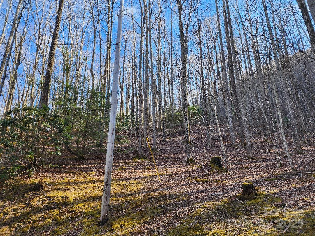 Celo Mountain Lands - Land