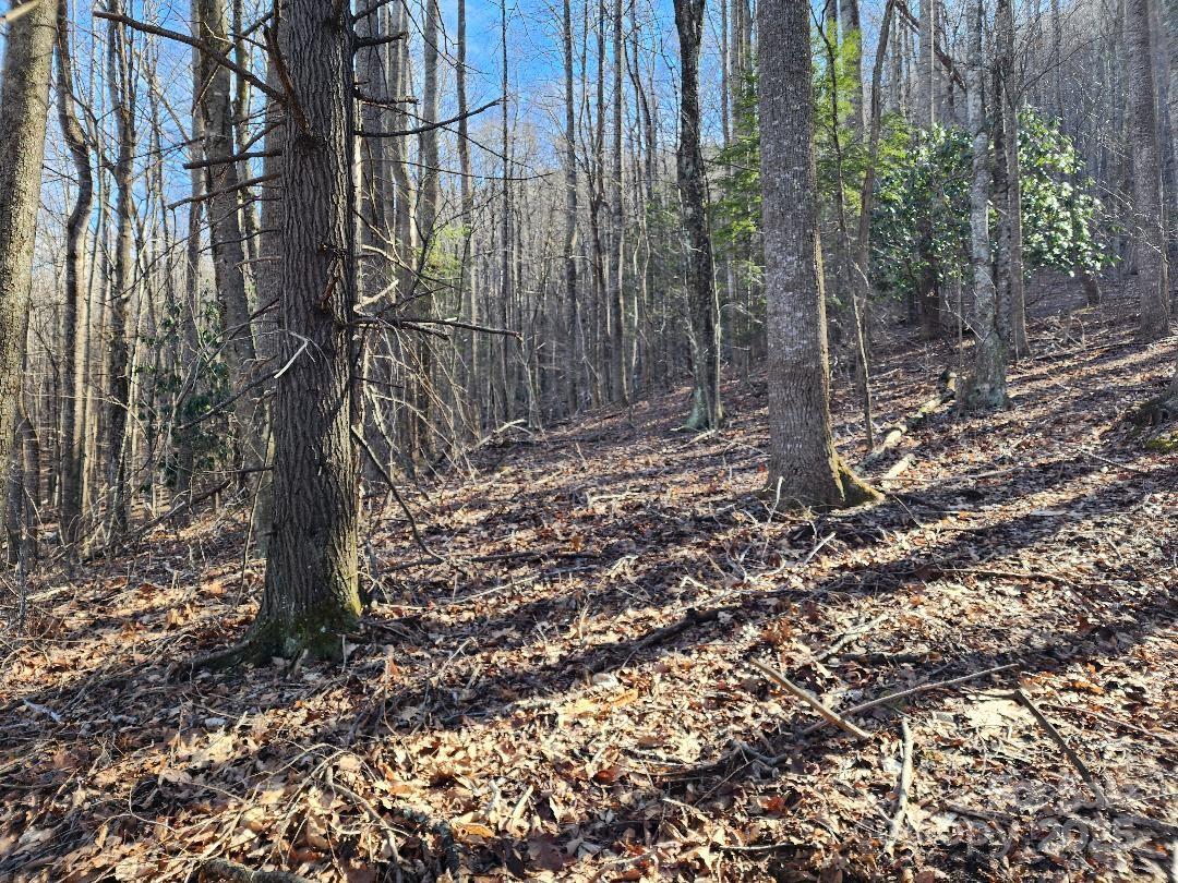 Celo Mountain Lands - Land