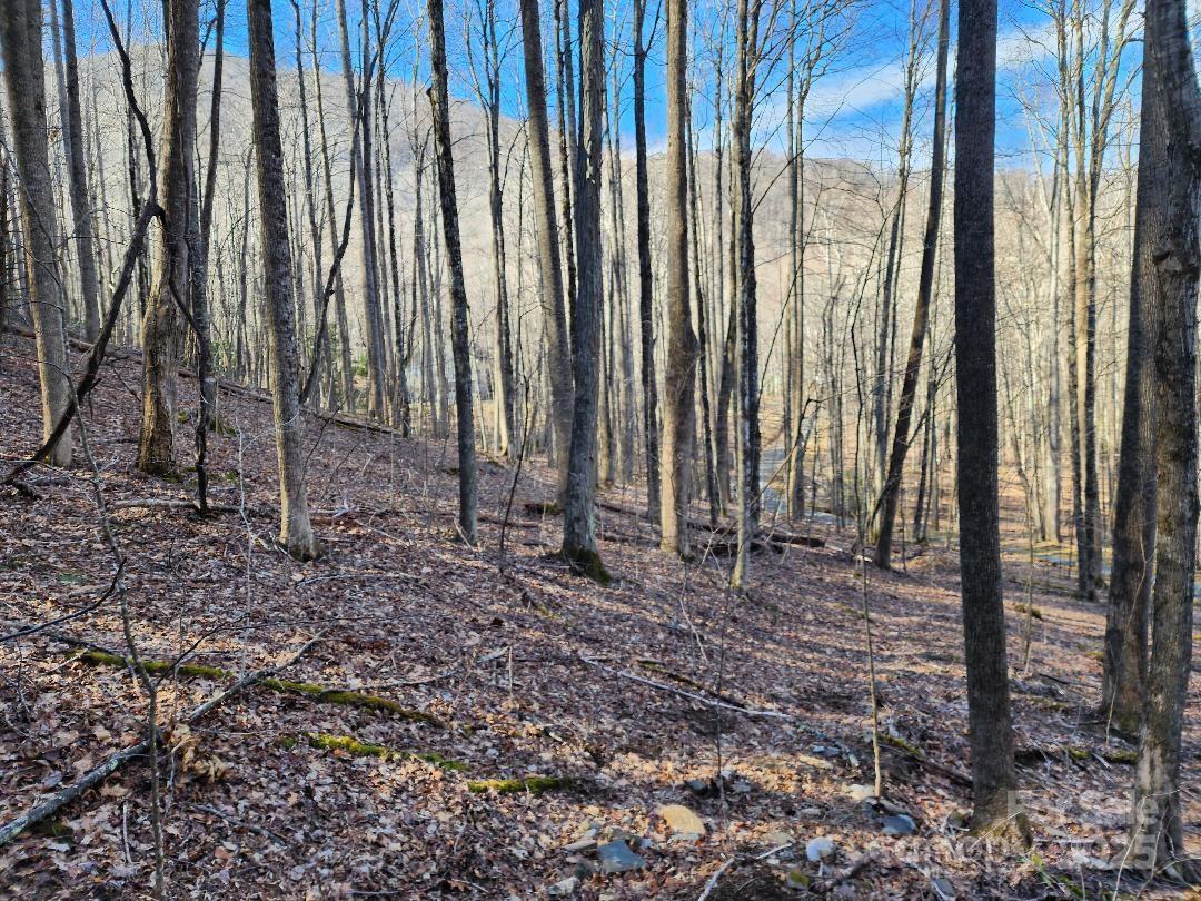 Celo Mountain Lands - Land