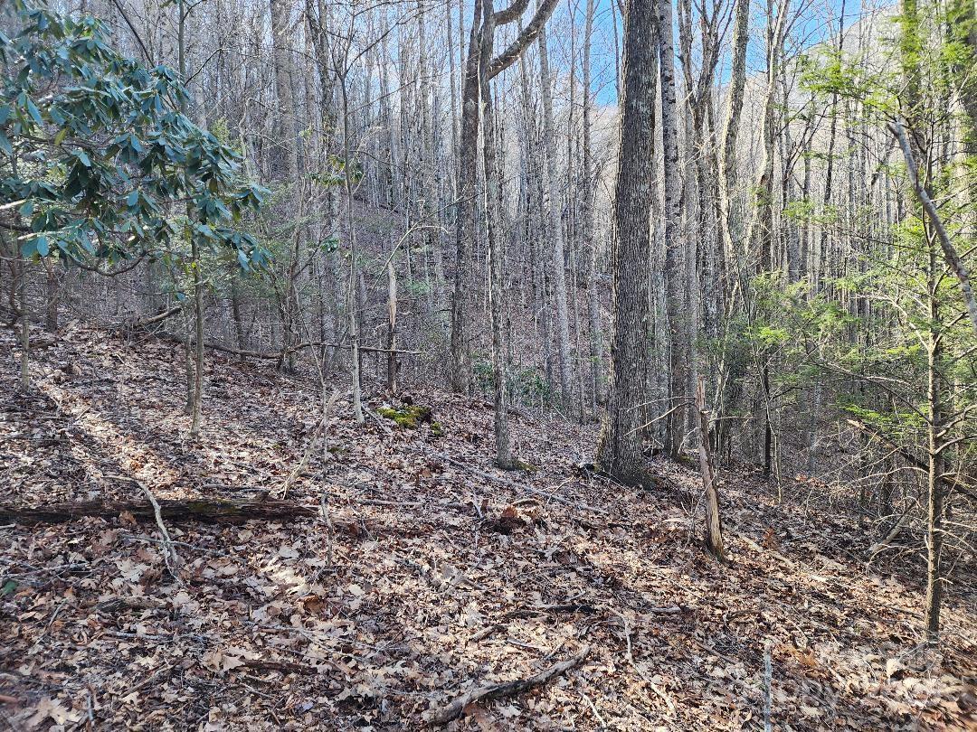 Celo Mountain Lands - Land