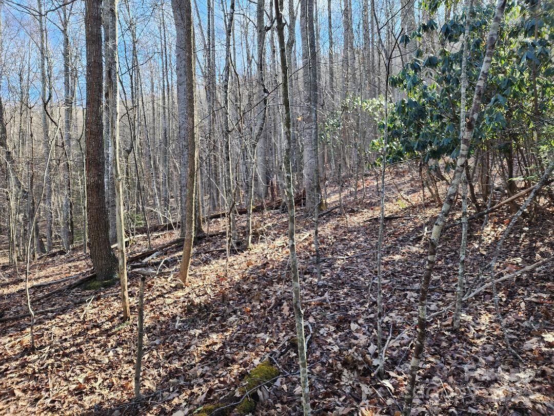 Celo Mountain Lands - Land