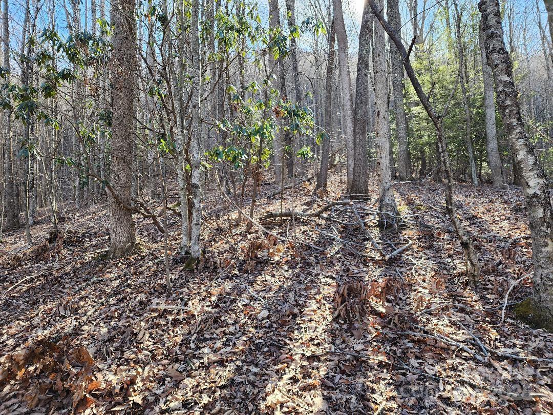 Celo Mountain Lands - Land