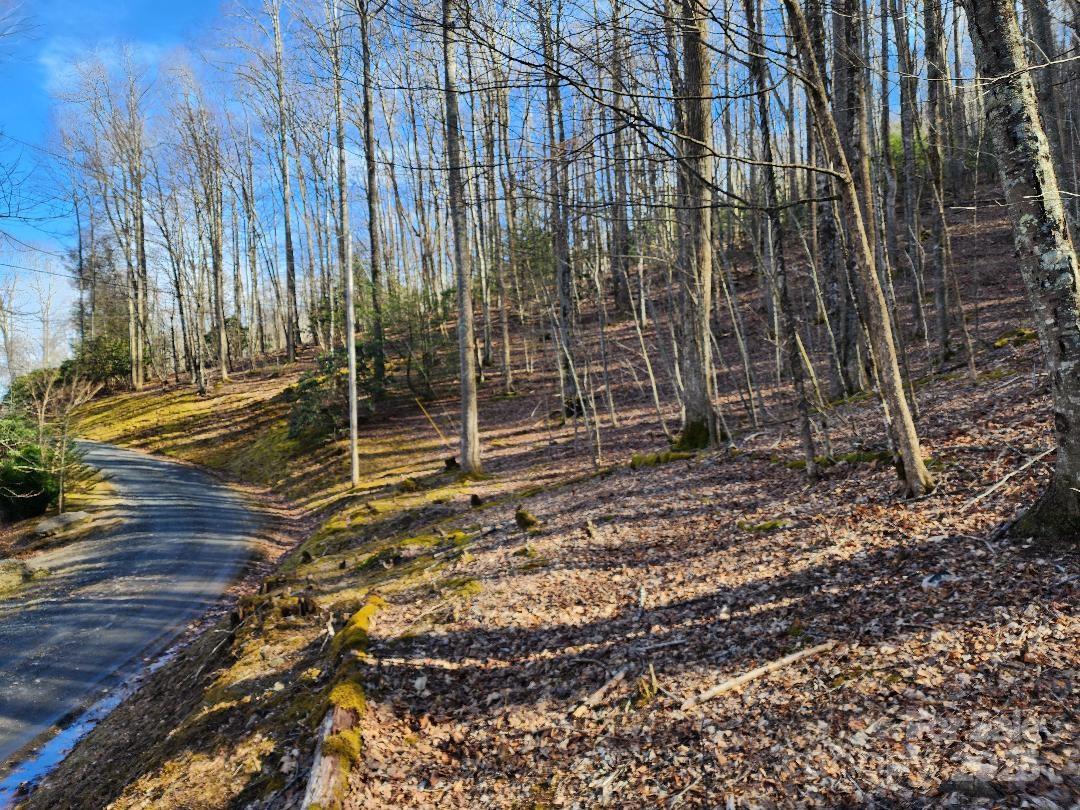 Celo Mountain Lands - Land