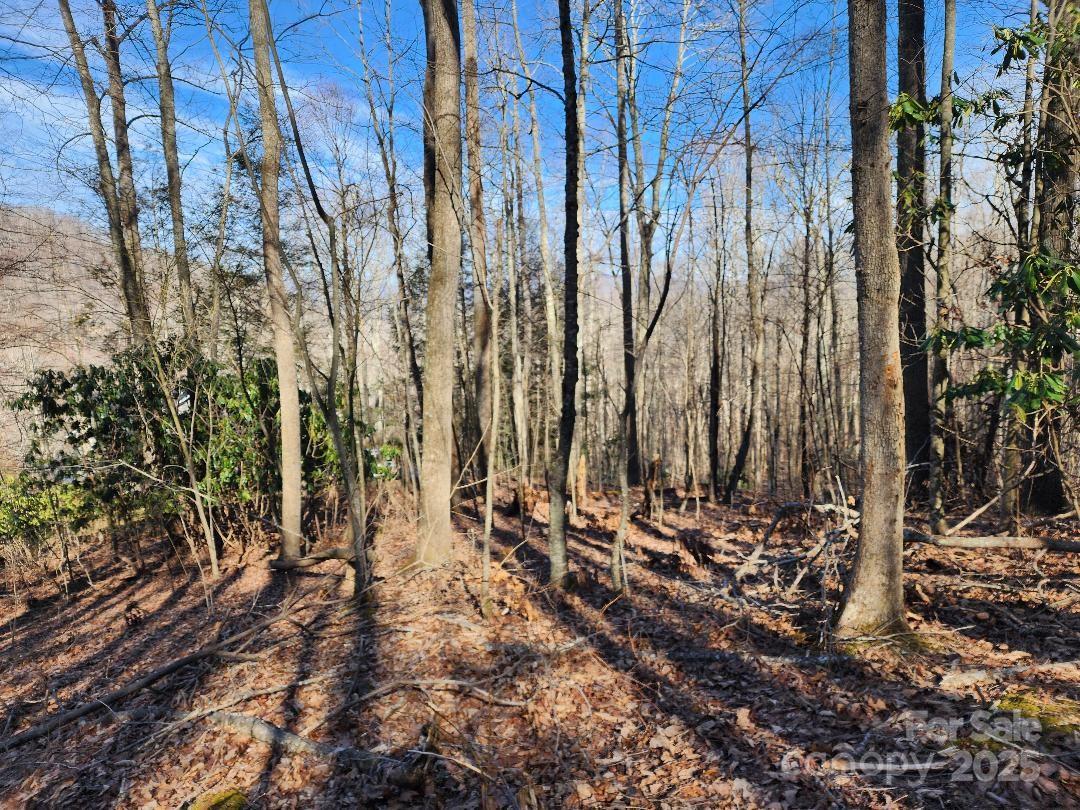 Celo Mountain Lands - Land