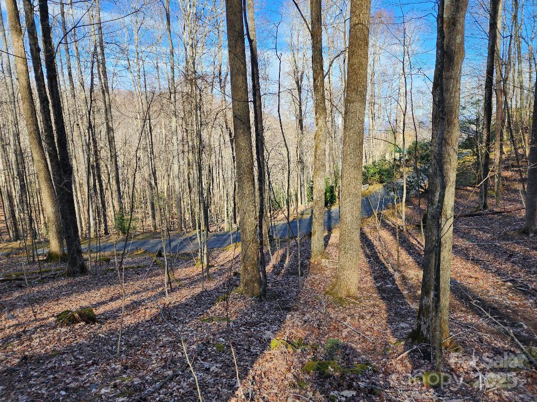 Celo Mountain Lands - Land