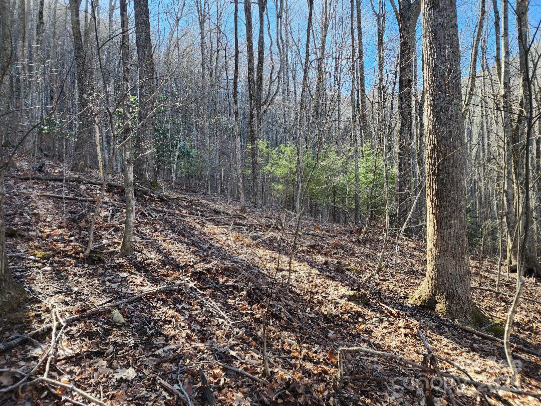 00 Shadow Moss Drive 8/B