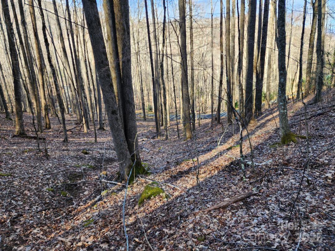 Celo Mountain Lands - Land