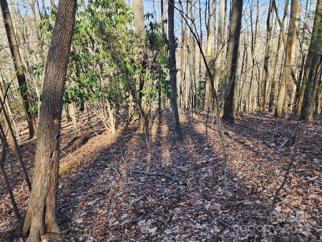 Celo Mountain Lands - Land