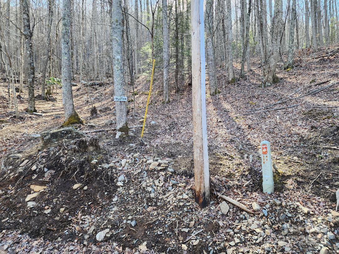 00 Shadow Moss Drive 8/B