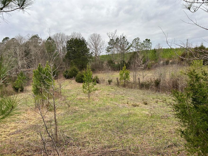 Great location to build that new home, lots of frontage, view of pond, partial fenced. Property has several building and sheds. Location just minutes fro 4 lane hwy 5, Less than an hour from Charlotte, Rockhill and more. Approx 8.53 +/- ac which is a portion of 3 different parcels that buyer will be  responsible for new survey and subject to county approval. Old mobile home goes with it at no value.