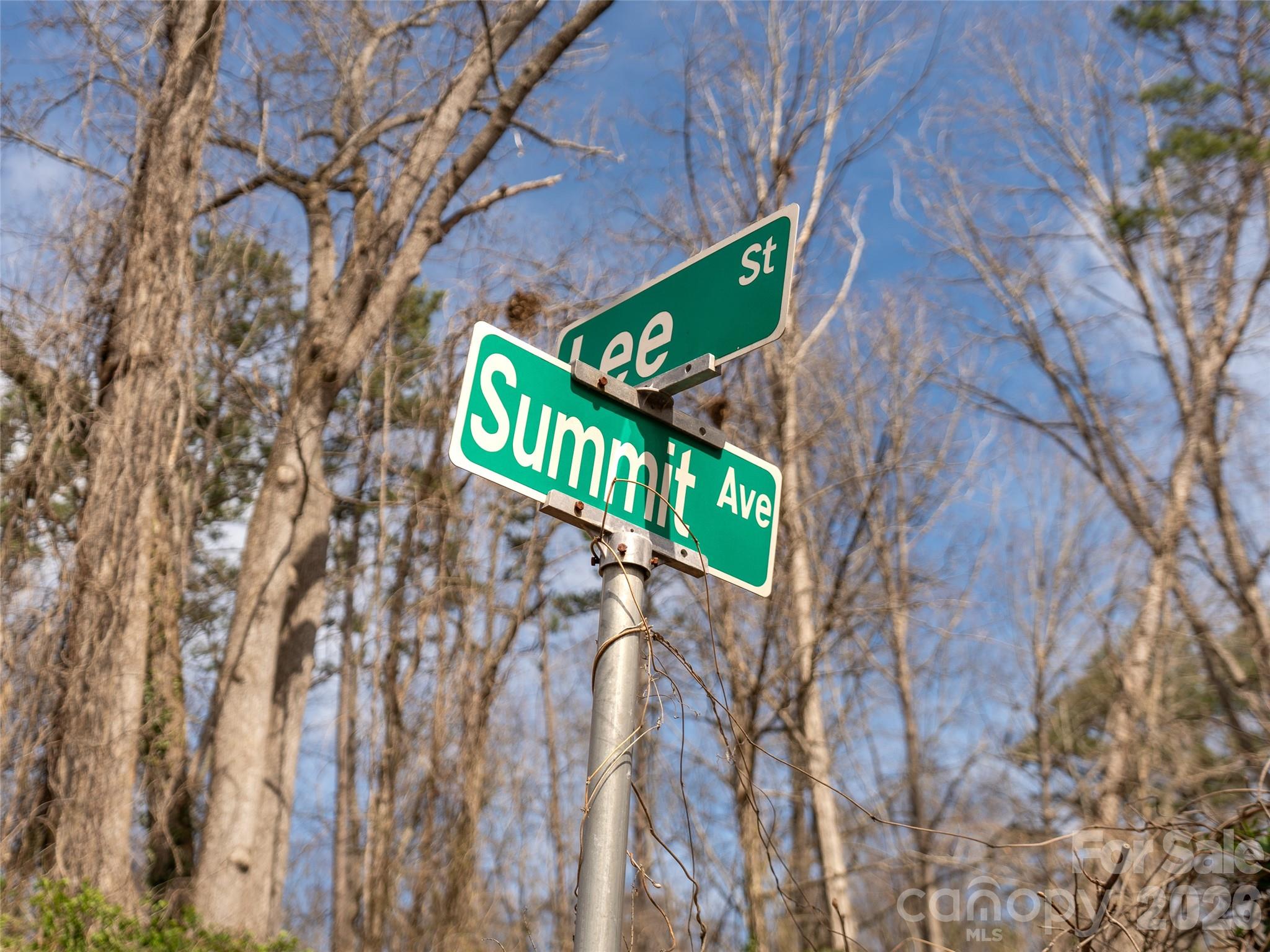 Skyland Springs - Land