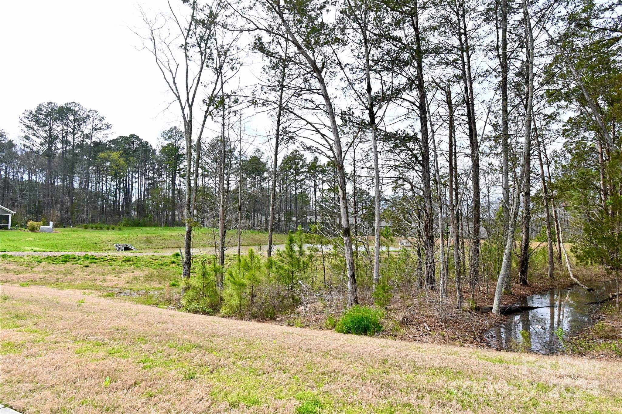 Rhyne Estates - Residential