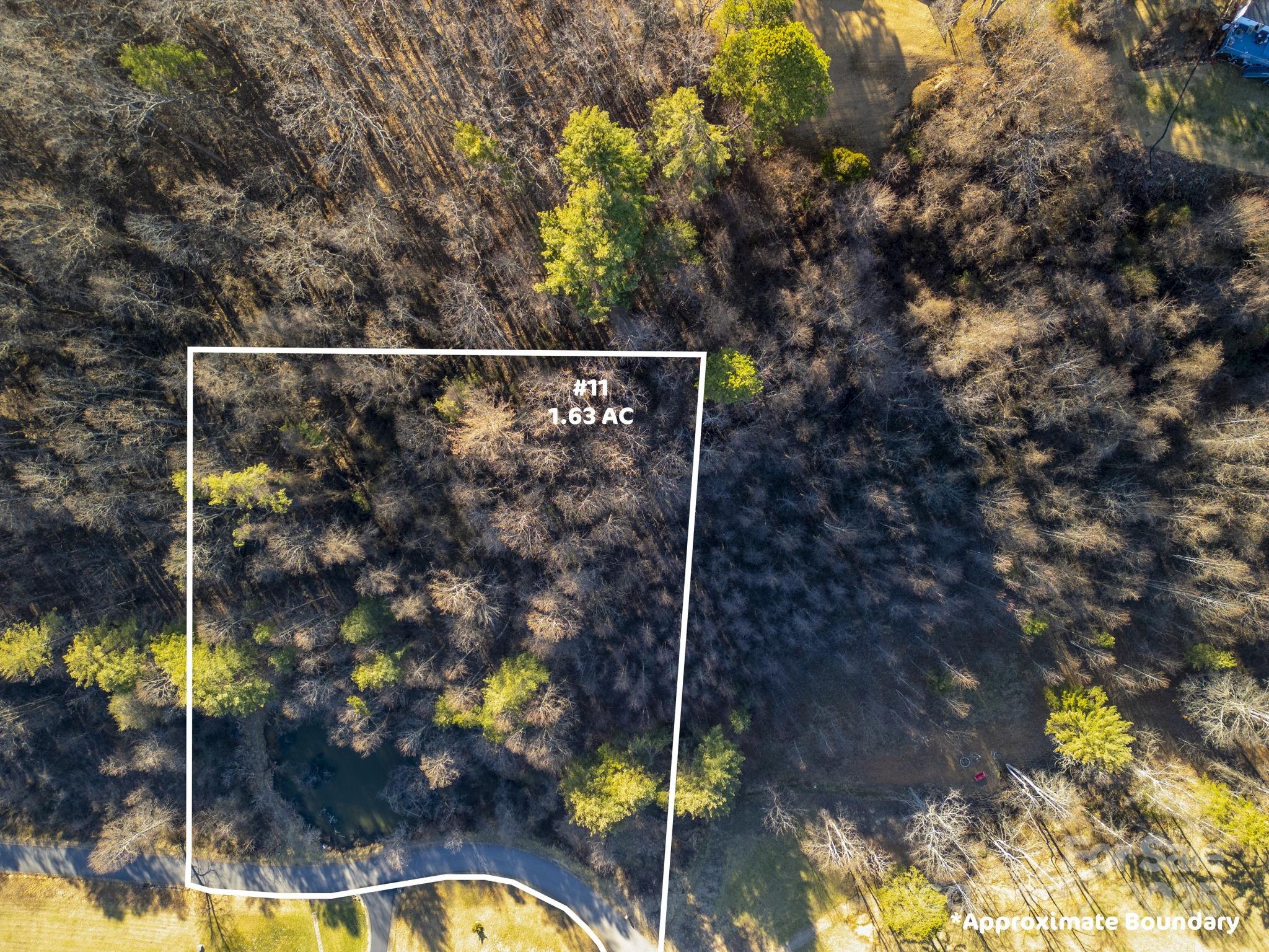 175 Blackberry Cove Drive 11