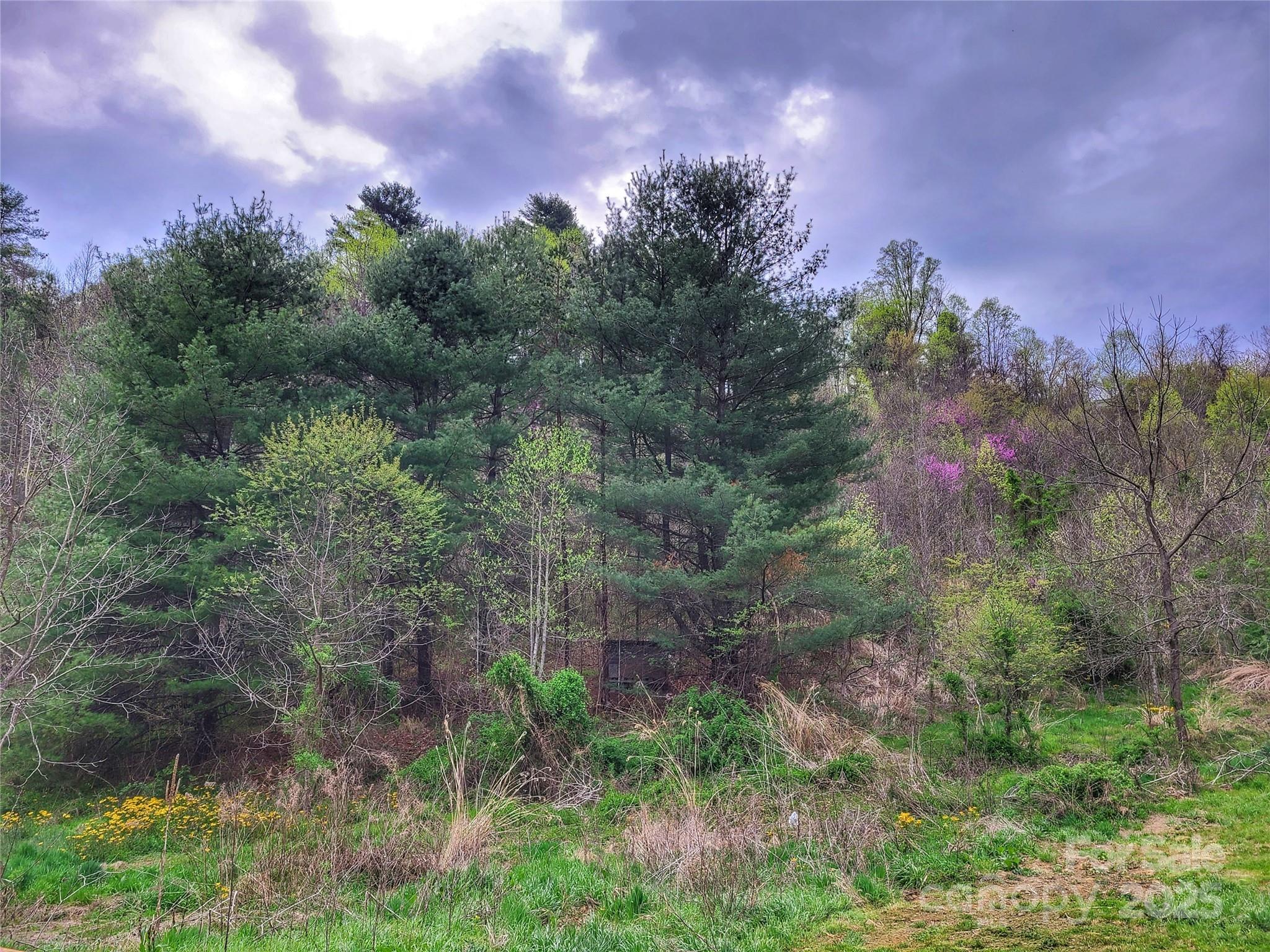 175 Blackberry Cove Drive 11