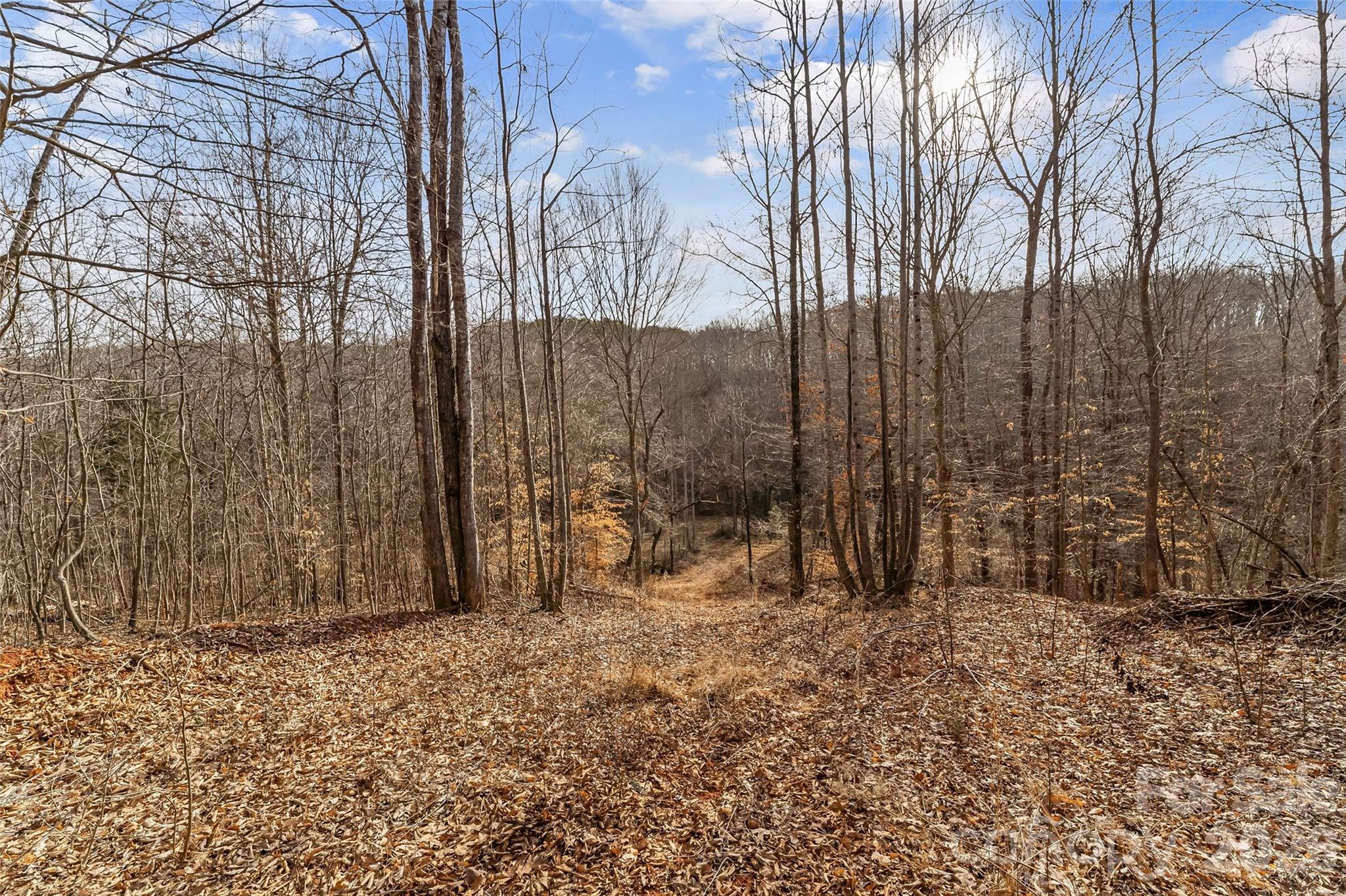 173 & 207 Deer Creek Trail