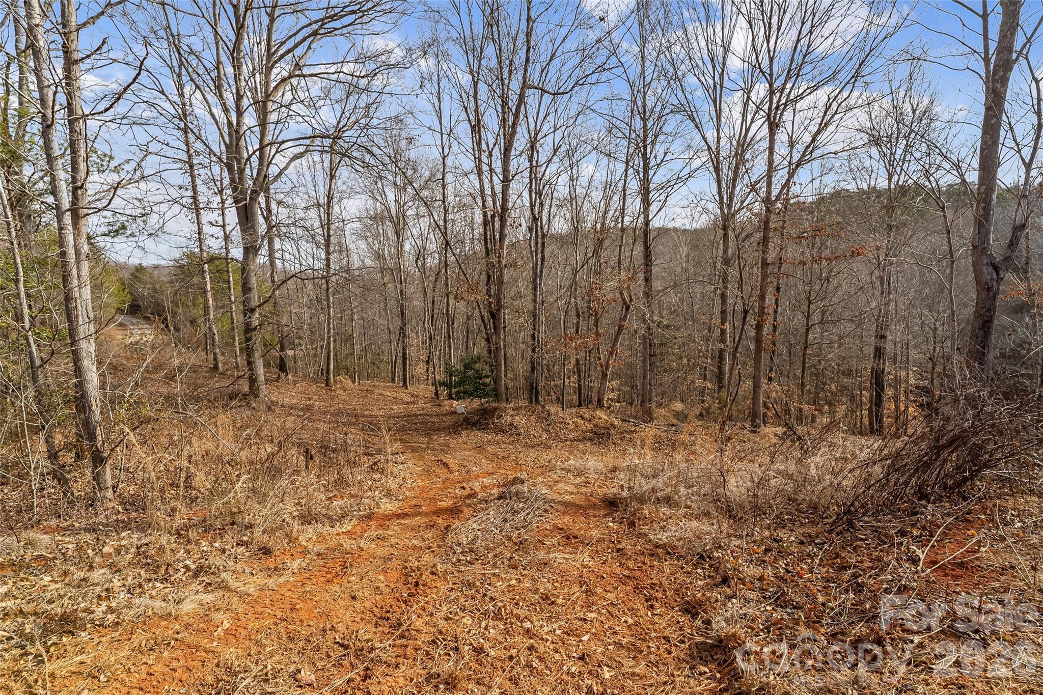 173 & 207 Deer Creek Trail