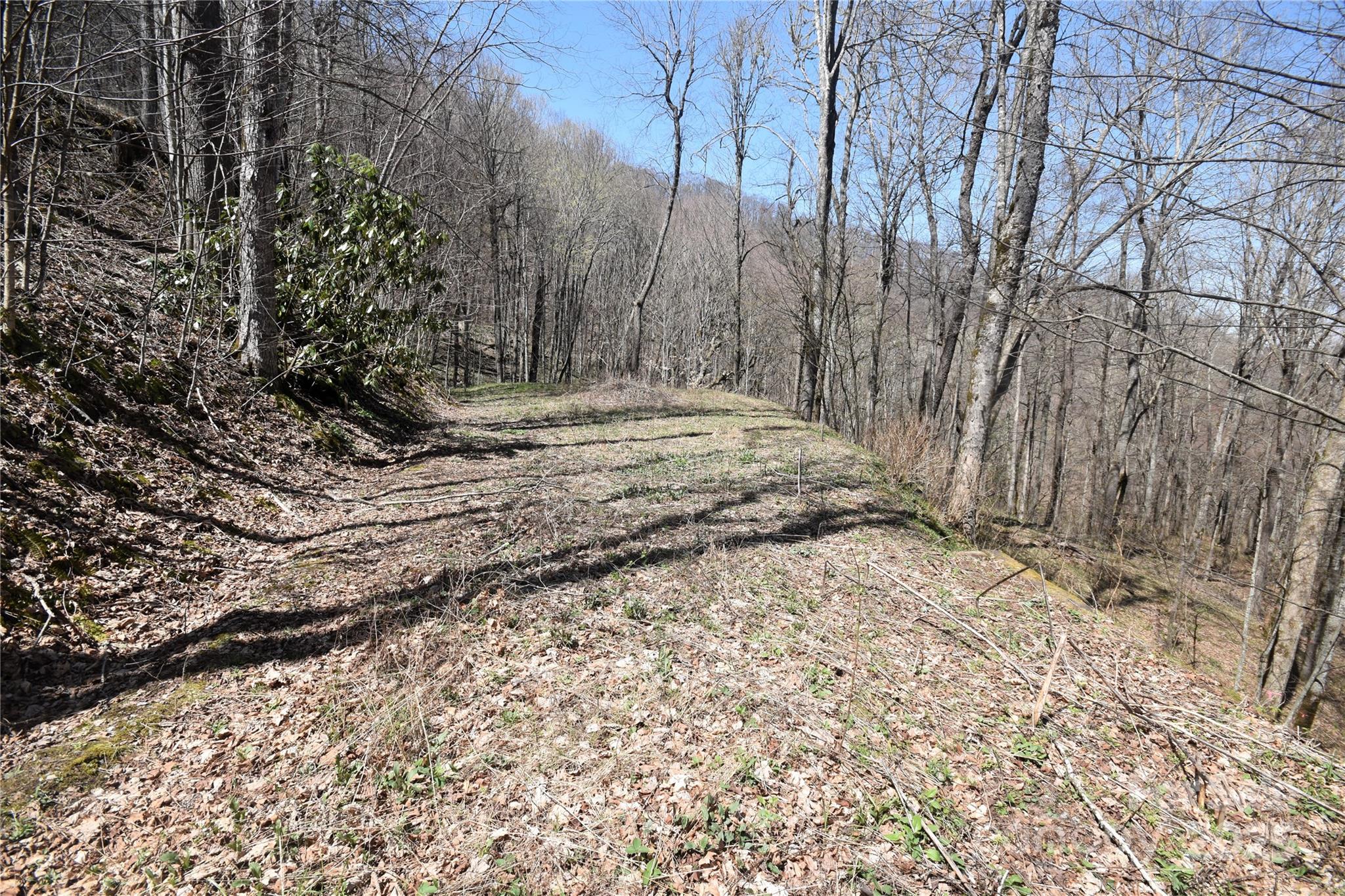 Big Laurel Inc - Land