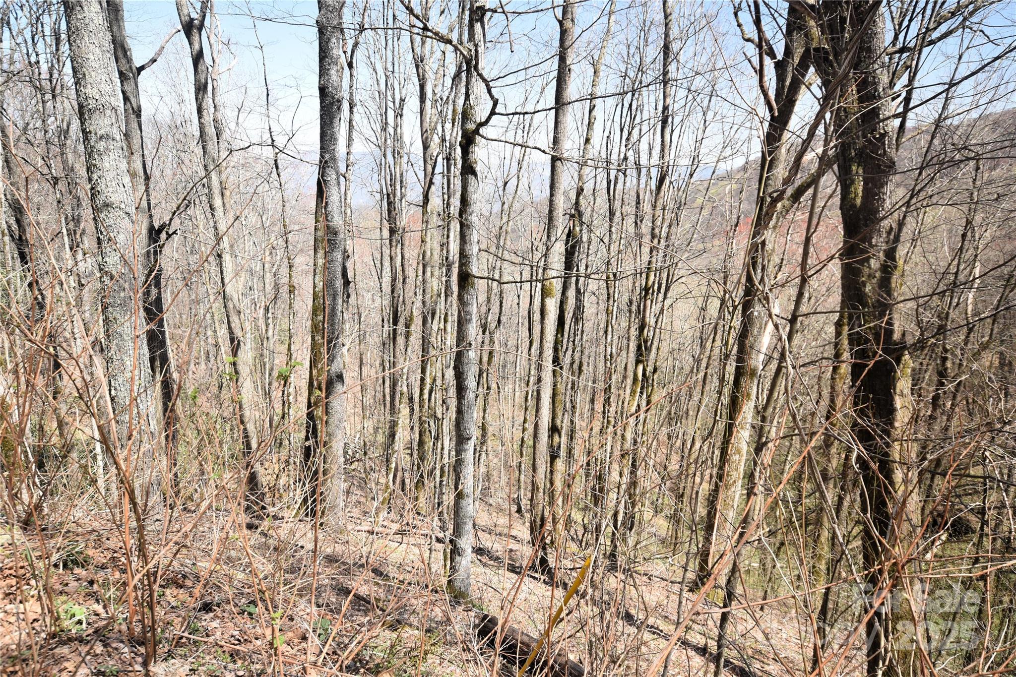 000 Big Laurel Road A-16 & A-17