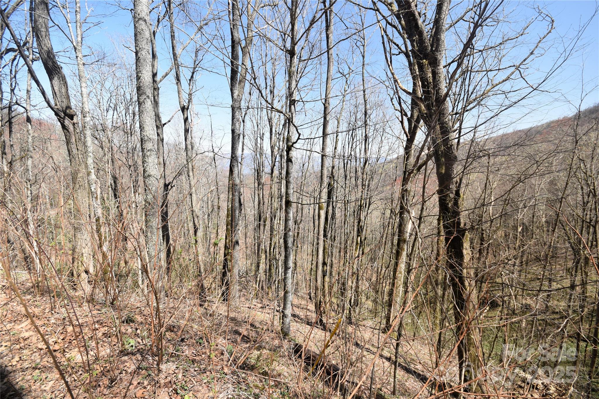 Big Laurel Inc - Land