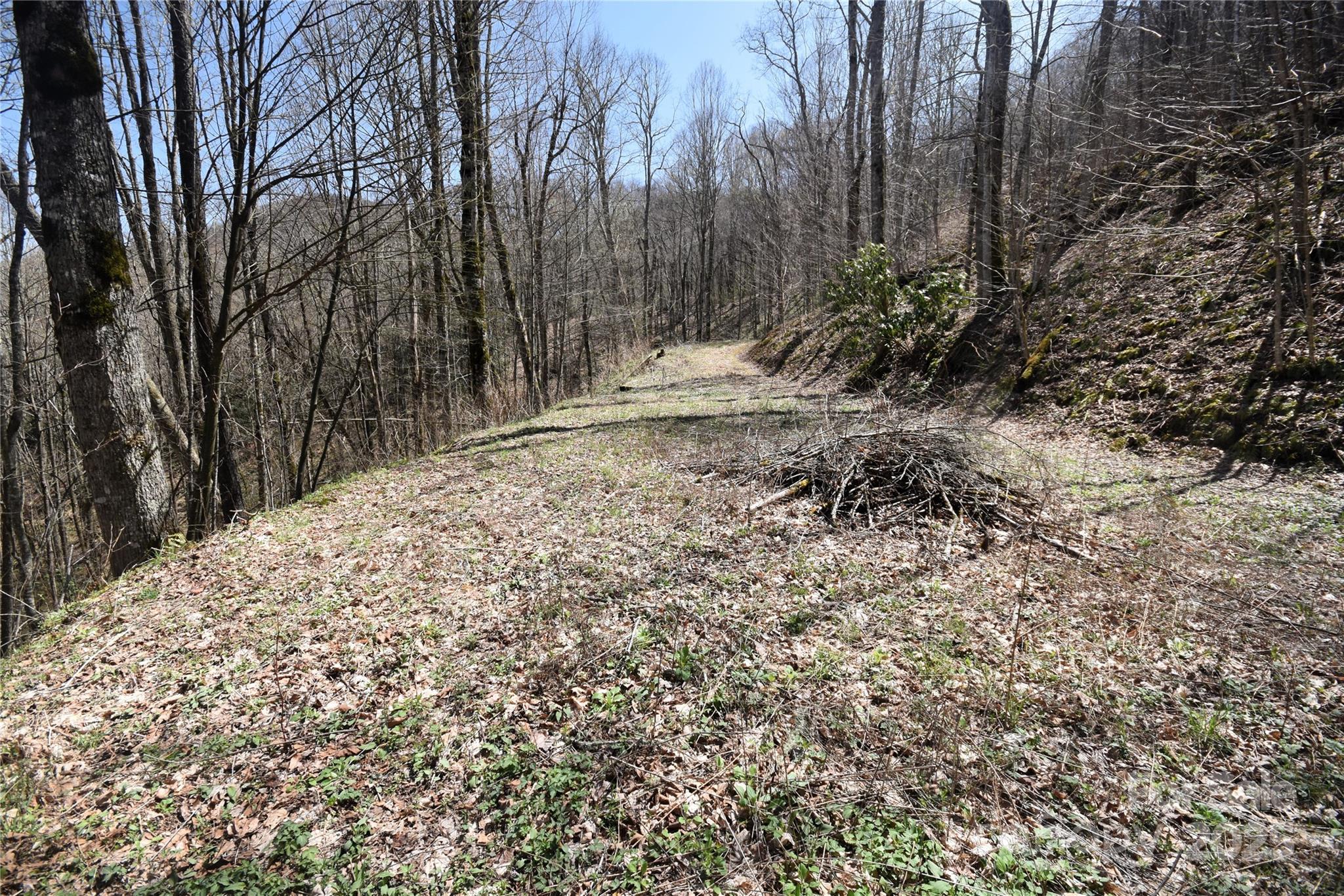 Big Laurel Inc - Land