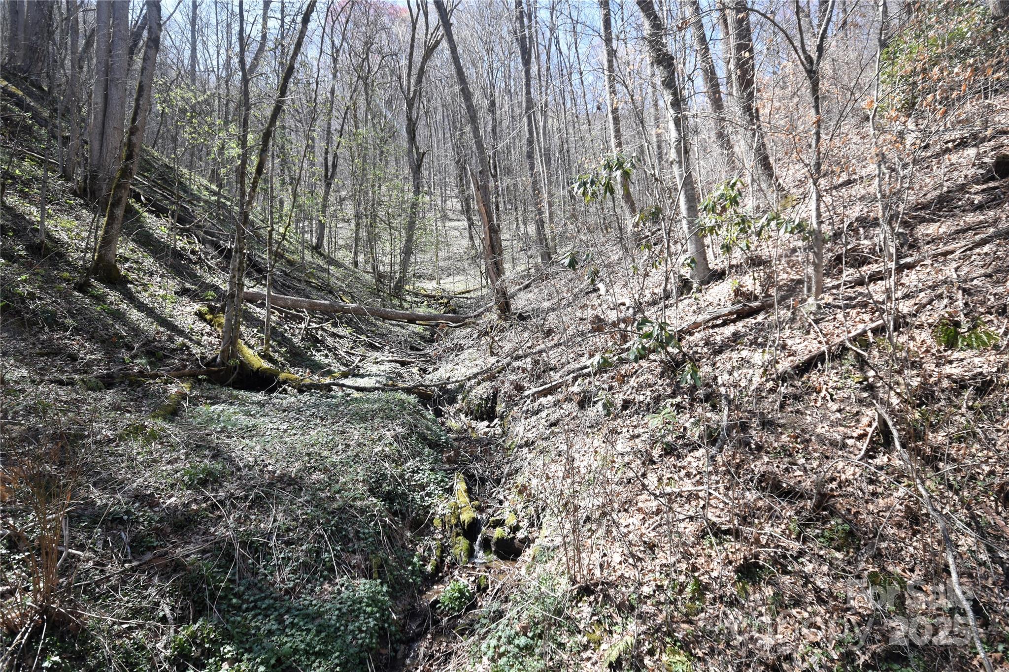 Big Laurel Inc - Land