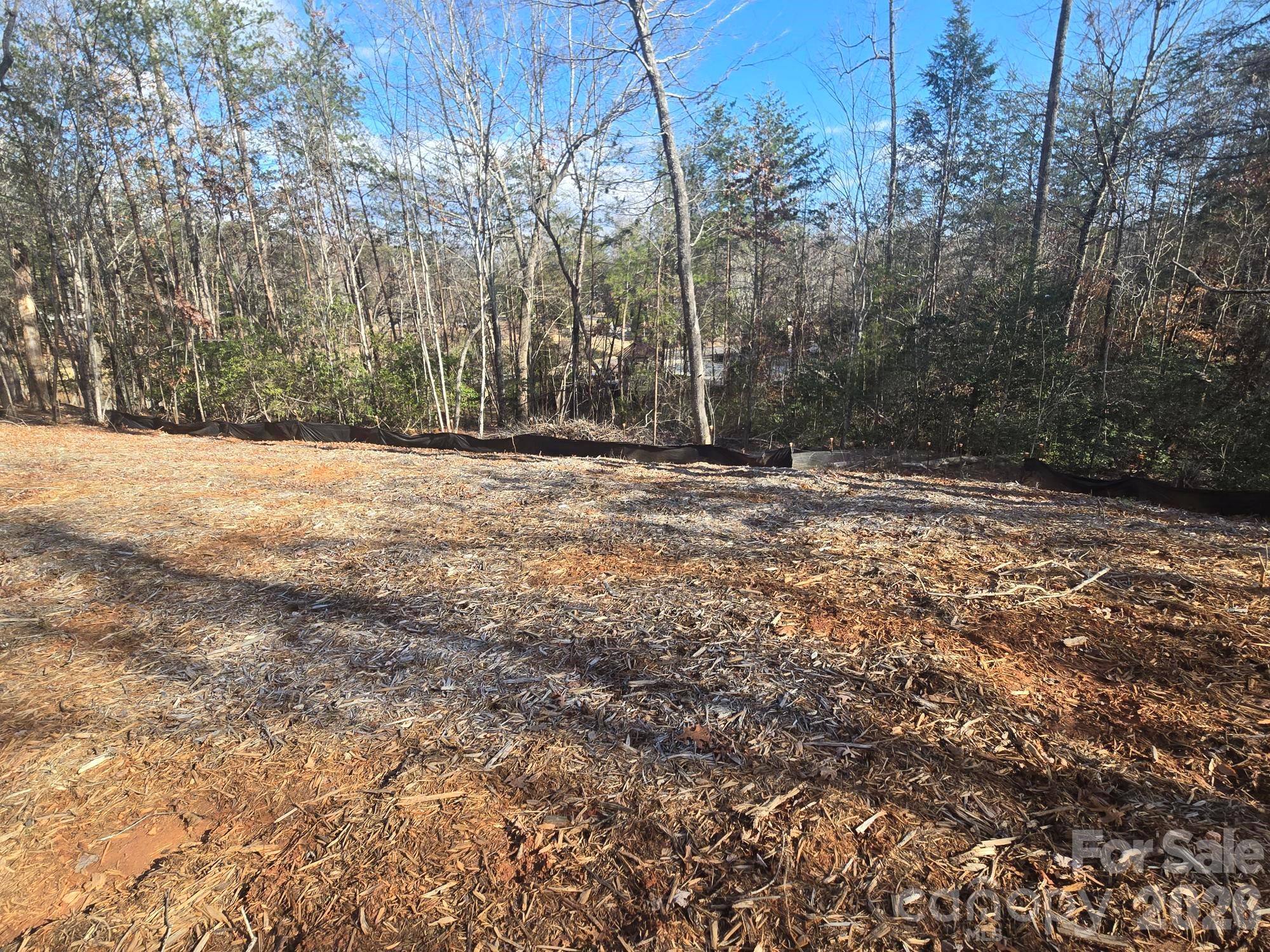 Rumbling Bald on Lake Lure - Land